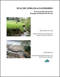 Healthy Streams and Watersheds - How to Get There from Here, Strategies and Partners for Success