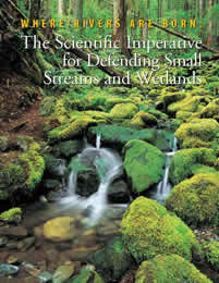 Where Rivers Are Born: The Scientific Imperative for Defending Small Streams and Wetlands