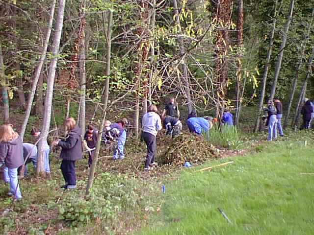 Earth Day 2001 Springbrook Creek Clean-up Event