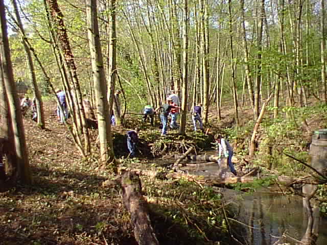 Earth Day 2001 Springbrook Creek Clean-up Event