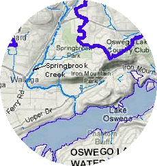 Springbrook Creek, in the Oswego Lake Watershed