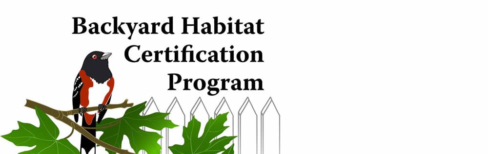 Making Connections – The Lake Oswego Backyard Habitat Program