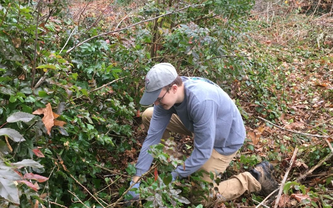 Welcome Jack Halsey, OLWC Coordinator