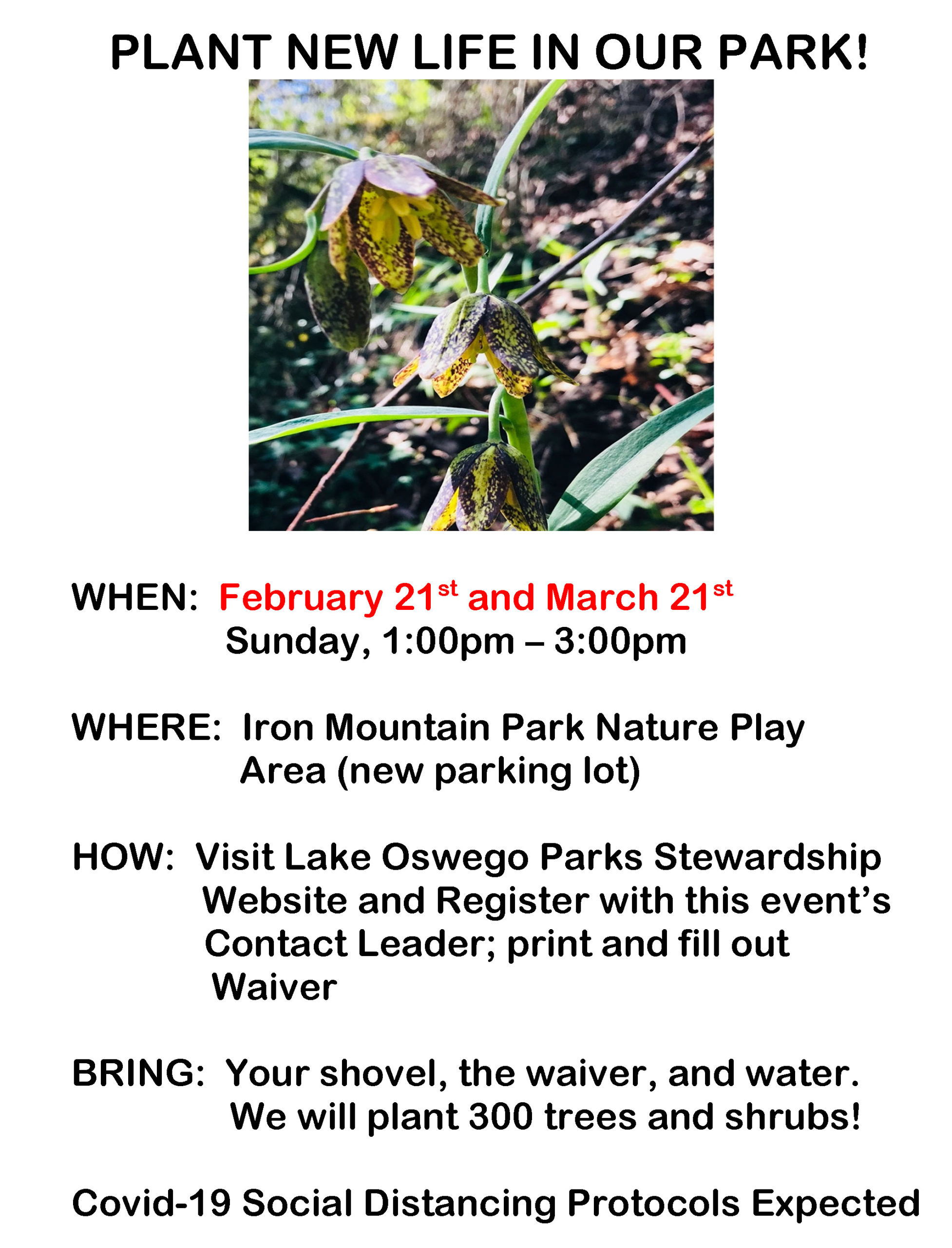 Friends of Iron Mtn. Work Parties - 2/21/21 and 3/21/21 Friends of Iron Mtn. Work Parties - 2/21/21 and 3/21/21