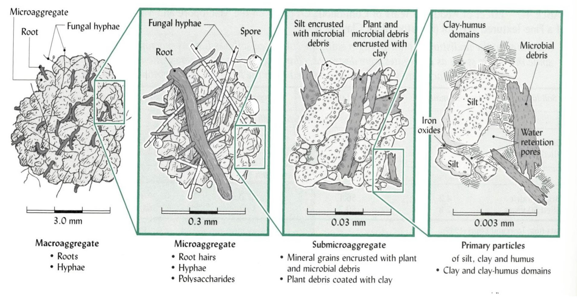 Microaggregates