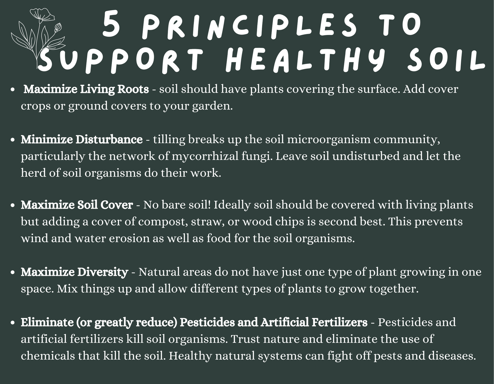 5 principles to support healthy soil 5 principles to support healthy soil