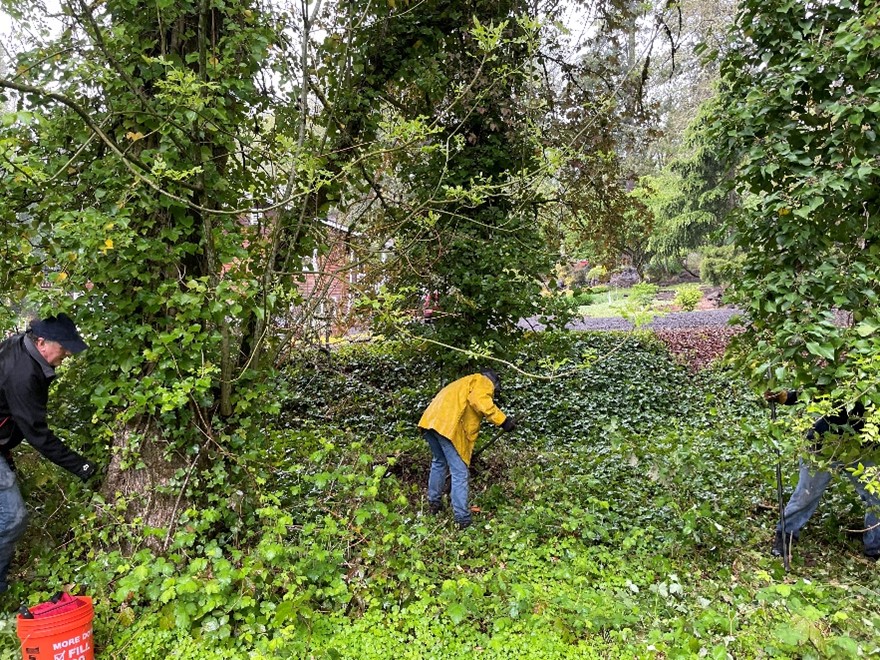 Volunteers work to remove tree ivy for Arbor Day 2021