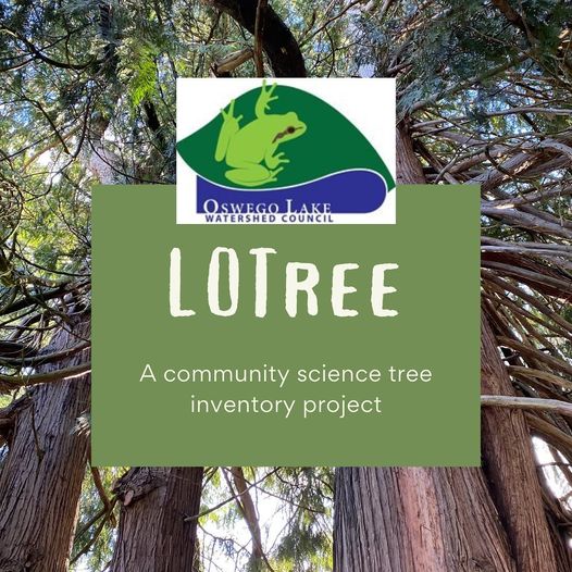 LOTree - A community science tree inventory project