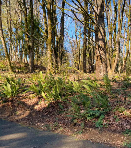 Land Resilience - Oswego Lake Watershed Council