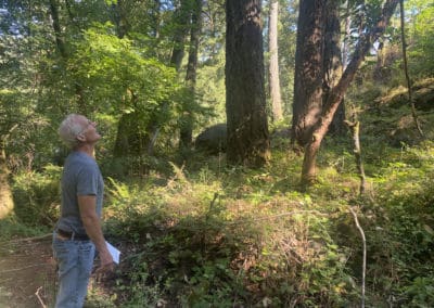 The urban forest: Our stake and stance