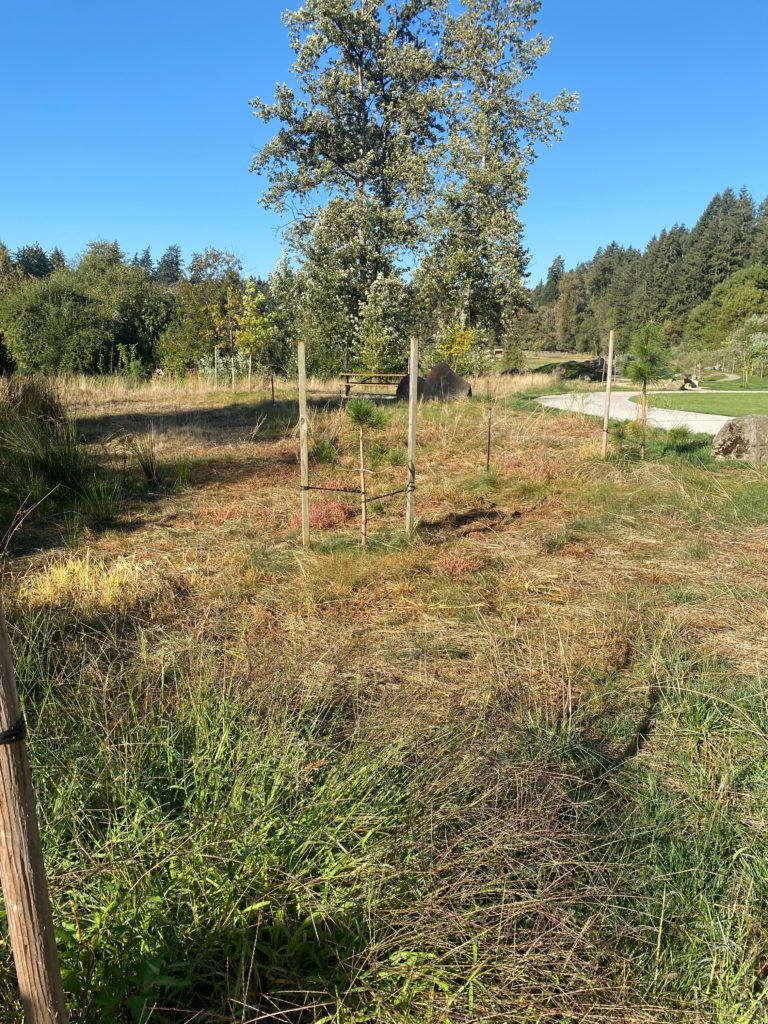 Future Site of the Pollinator Garden