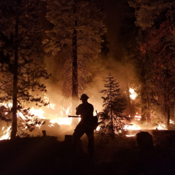 fire fighter
