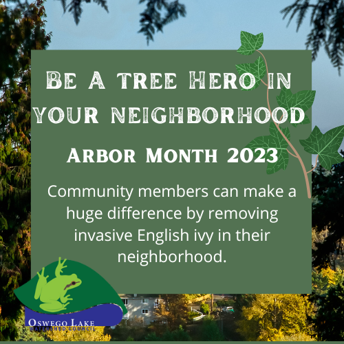 Arbor Month 2023 Be A Tree Hero in Your Neighborhood - Arbor Month 2022