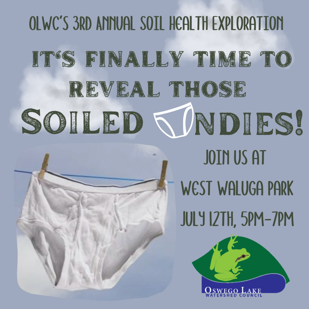 Soil Your Undies  Soil Health Check Up 