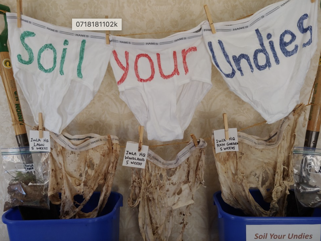 Images of fresh and decomposed undies