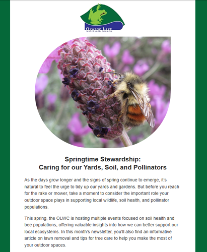 April 2025 Newsletter