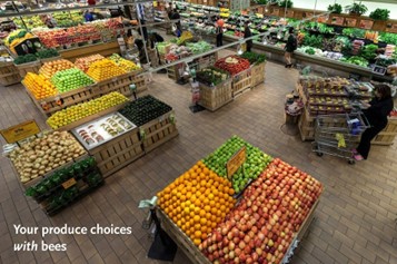 Food choices WITH pollinators Food choices WITH pollinators