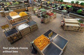Food choices WITHOUT pollinators Food choices WITHOUT pollinators