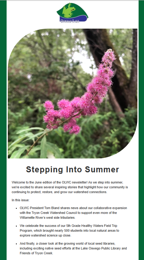 OLWC June 2025 Newsletter: Stepping into Summer