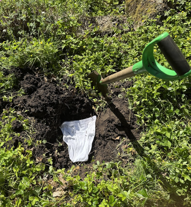 Step 1: bury a new pair of undies Step 1: bury a new pair of undies
