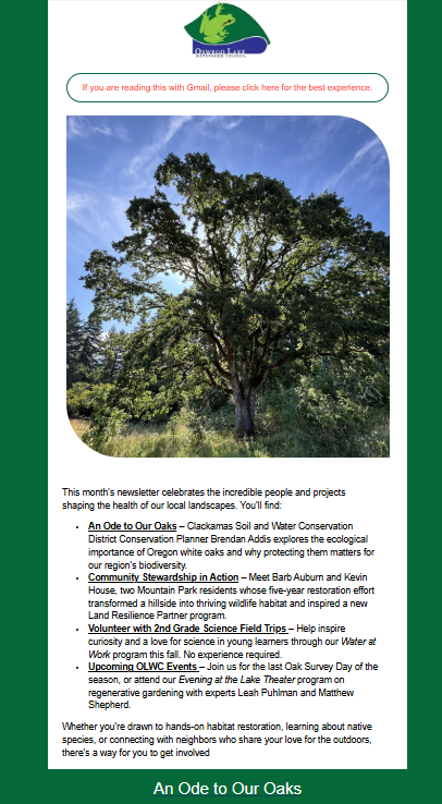 OLWC August 2025 Newsletter