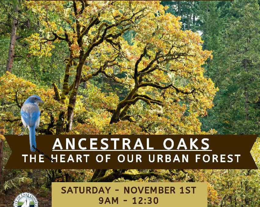 Urban Forest Summit