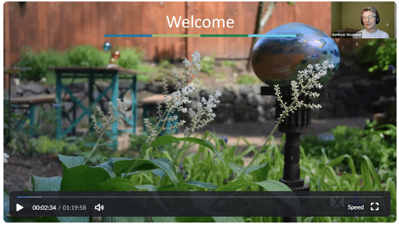 Creating a Garden to Support Pollinators