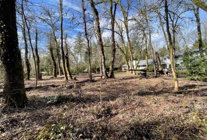 Ivy being removed