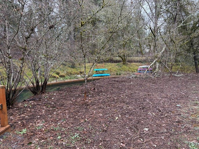 After ivy removal on the island