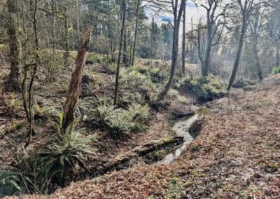 Caring for our Shared Spaces in the West Willamette Watershed