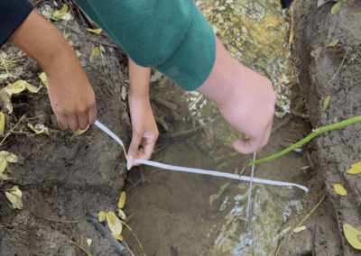 Students at Work: Progress at Pecan Creek