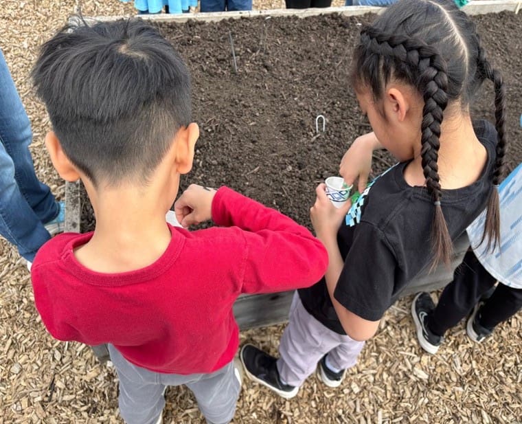 Elementary students became seed scientists in their school garden.