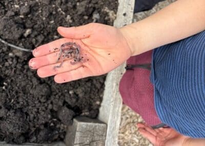 From Seeds to Curiosity: A Journey into School Garden Education