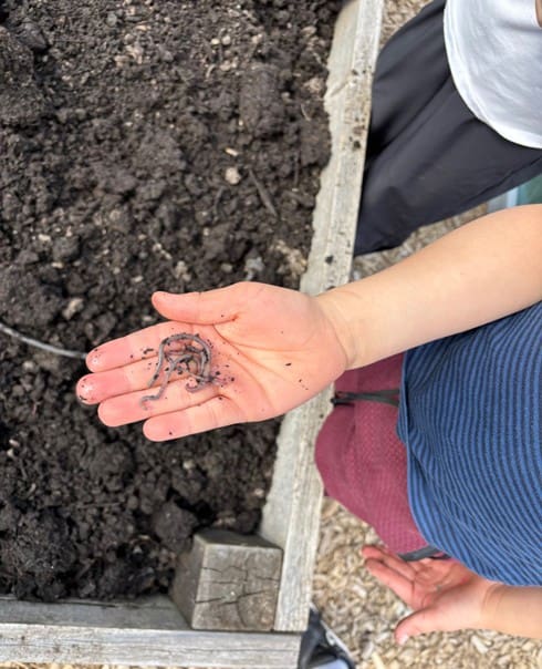 Palisades World Language Elementary, students jumped right into garden-based learning in their school garden.