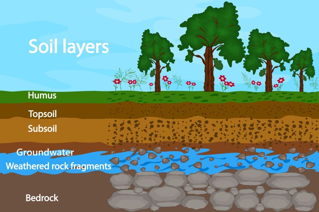 Cross-section showing the layers of soil surrounding groundwater