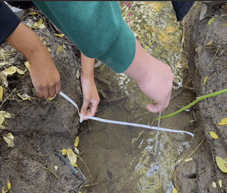 Measuring at Pecan Creek