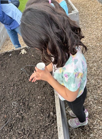 Planting seeds in the school garden