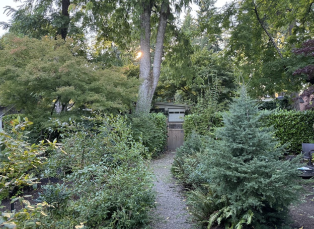 Backyard Habitat Project After